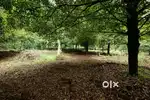 2 Acres land for sale in chalakudi