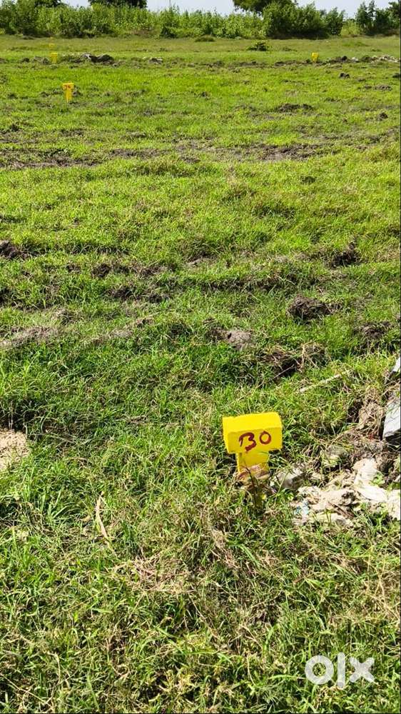 chevitikallu road facing plots amaravati area of kanchikachela
