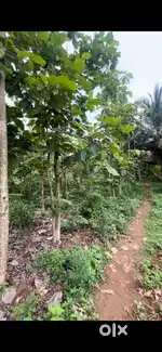 12 cents land for sale near atchutapuram