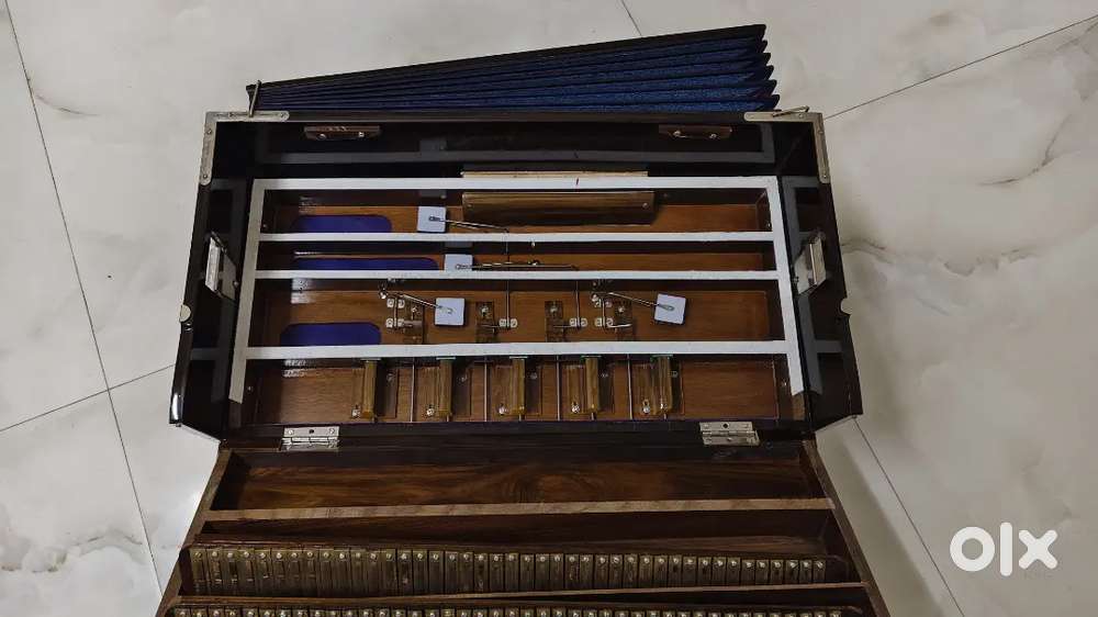 Harmonium वर्टिकल पालीताना
