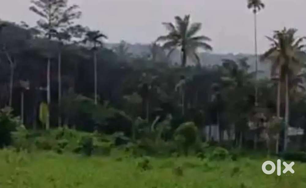 പൂതാടി പഞ്ചായത്തിൽ 4.5 ഏക്കർ സ്ഥലം വിൽപ്പനയ്ക്ക്