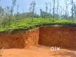 85 Cent Resort/Homestay land@Wayanad