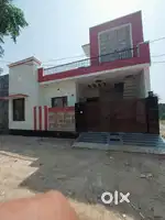 New professor colony