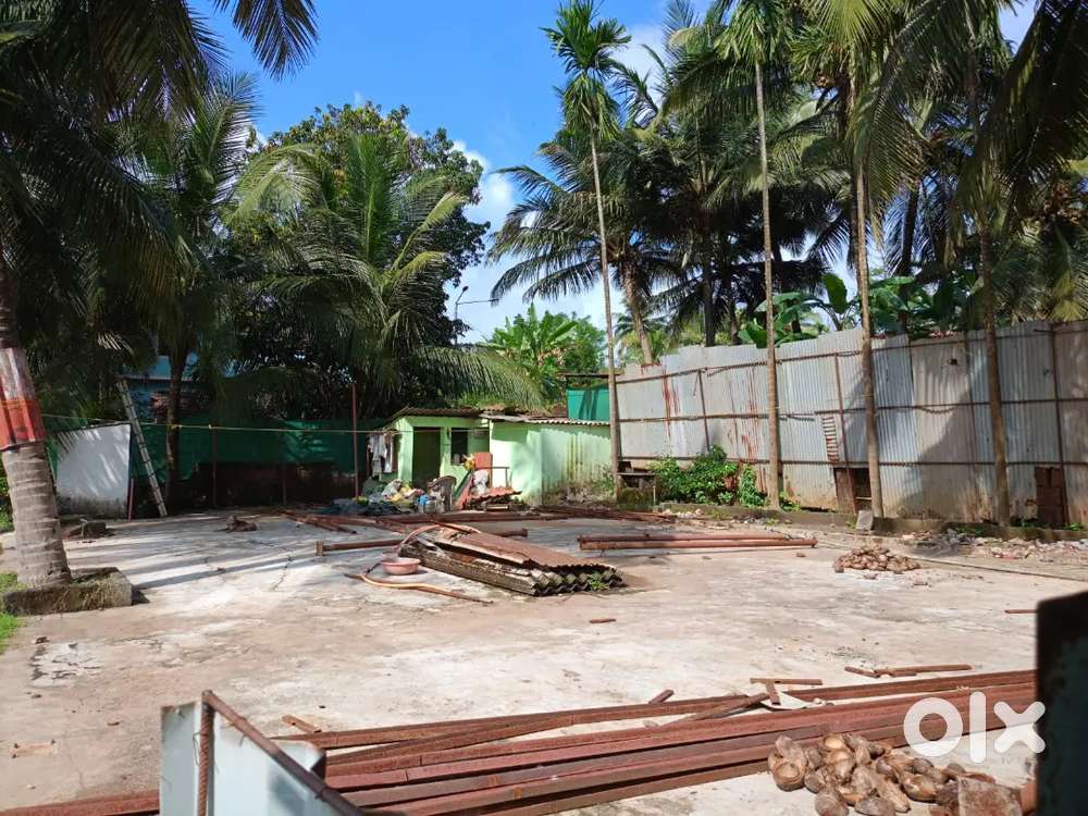 Around 350sqmtr ready plot for rent