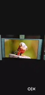Samsung 65'' crystal UHD