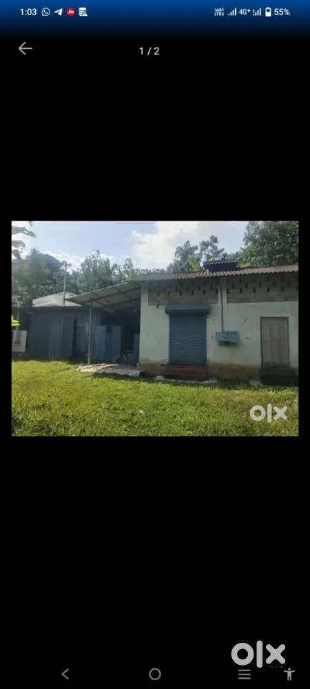 Oil and Rice, spices manufacturing