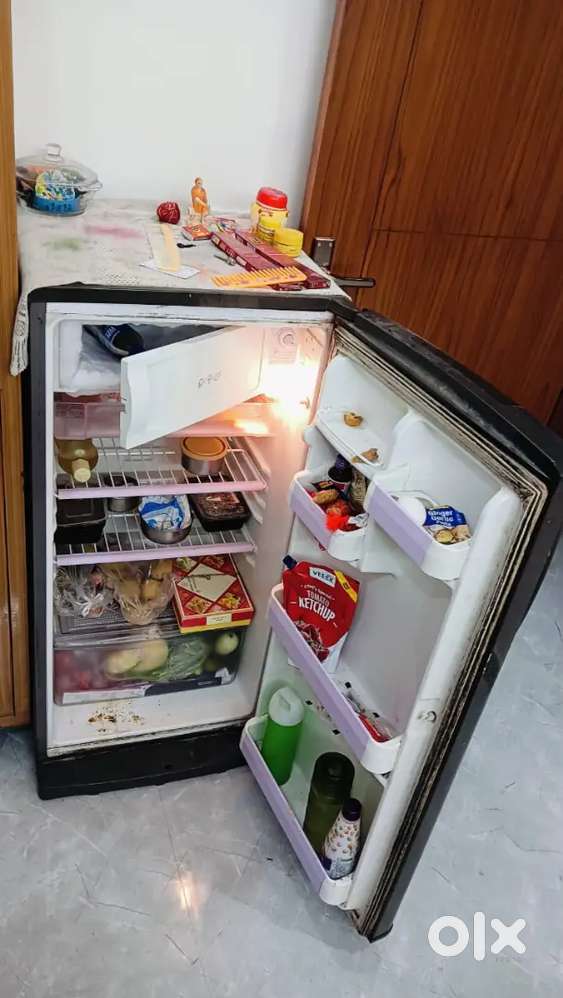 Freezeforsale