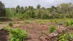 Plot for Sale in Candola Goa