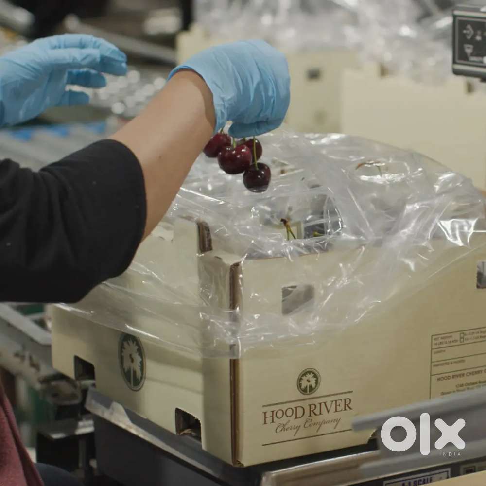 Cherry company vancary in Bhubaneswar, chandaka