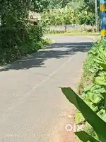 In Angamaly