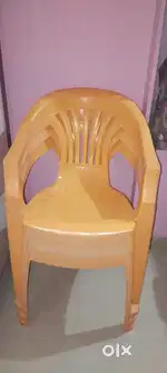 Colourful neelkamal chairs