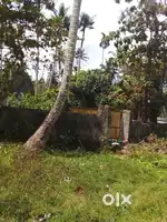 Plot for sale