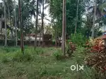 32 cents land with tiled house in  thokottu Mangalore Karnataka