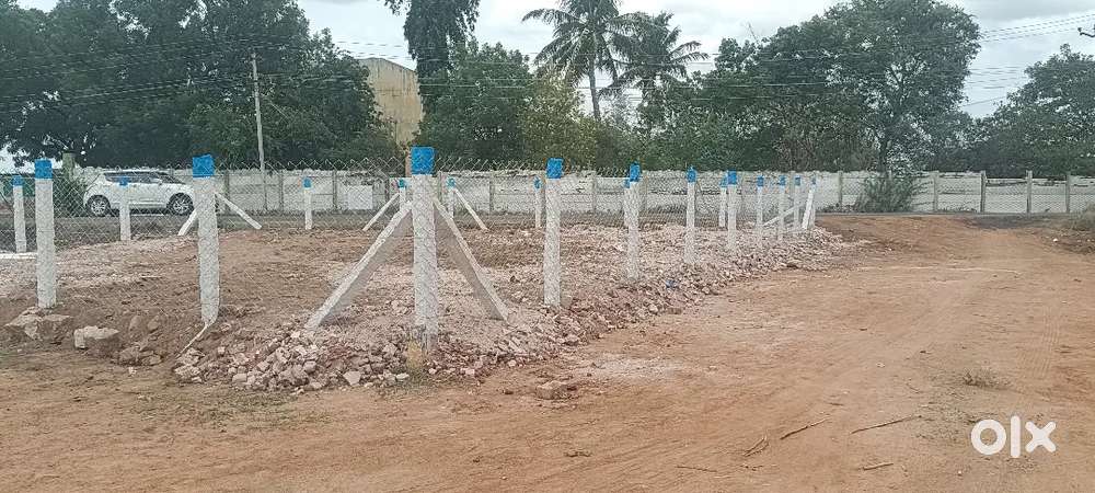 நிலையூர் மெயின் ரோடு DTCP