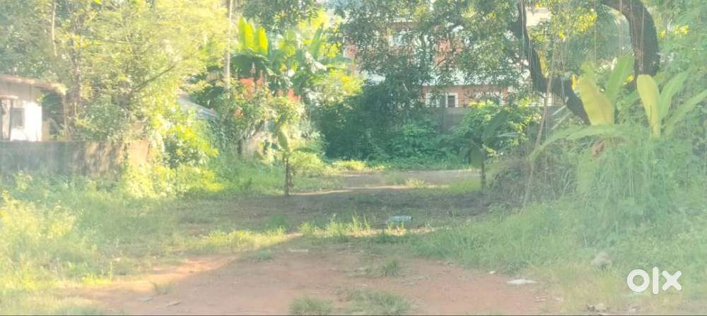 Residential Land-18 cent for sale in Chembukkavu- cherumukku, Thrissur
