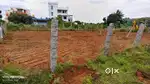 west facing plot in Royal Town mathigiri