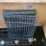 Puppy security case