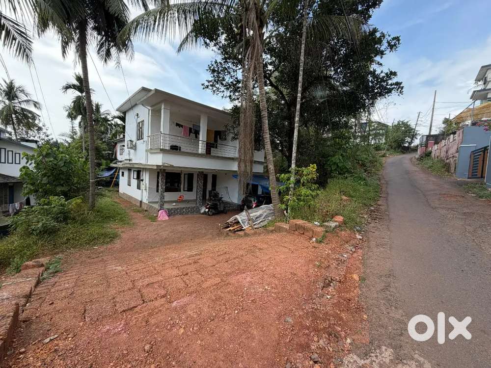 9.50 cent square plot renovated house for sale