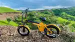 power full E-bike cycle