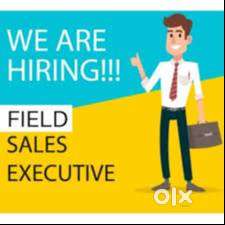 Field Executive