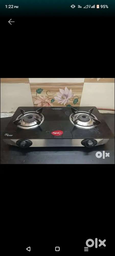 Pigeon cooking stove