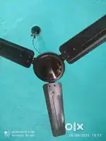Fan for house
