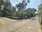 8  CENT ORGINAL LAND IN KAKKANAD PADAMUGAL NEAR PALACHUVAD
