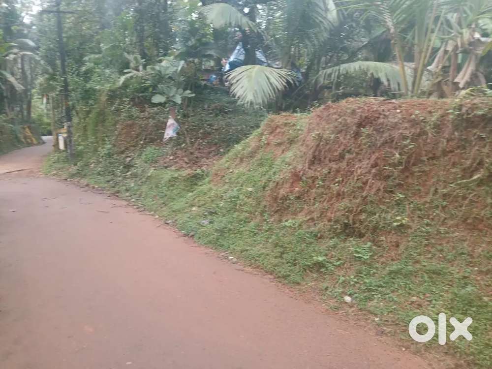 25 CENT URGENT SALE, KUTTIADI