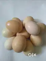 Nattu Kolzhi Eggs