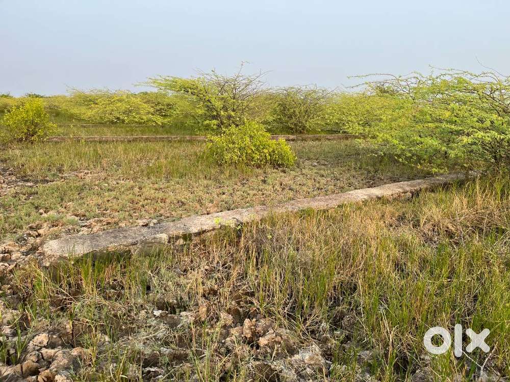 Looking to Sell Plot in Dholera