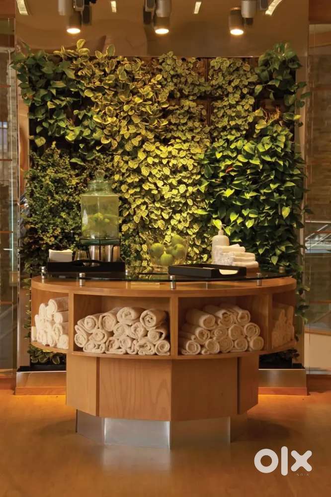 Wellness spa therapist vacancy available freshers also apply