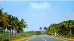 Karur to pollachi main road base land sale