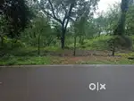 Road touch plot