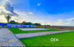 LUXURY PLOTS AVAILABLE NEAR OLYMPIC ACADEMY