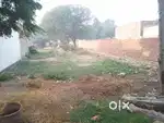 Mukochawa rod se Aamghat Jane Wali rod pe he