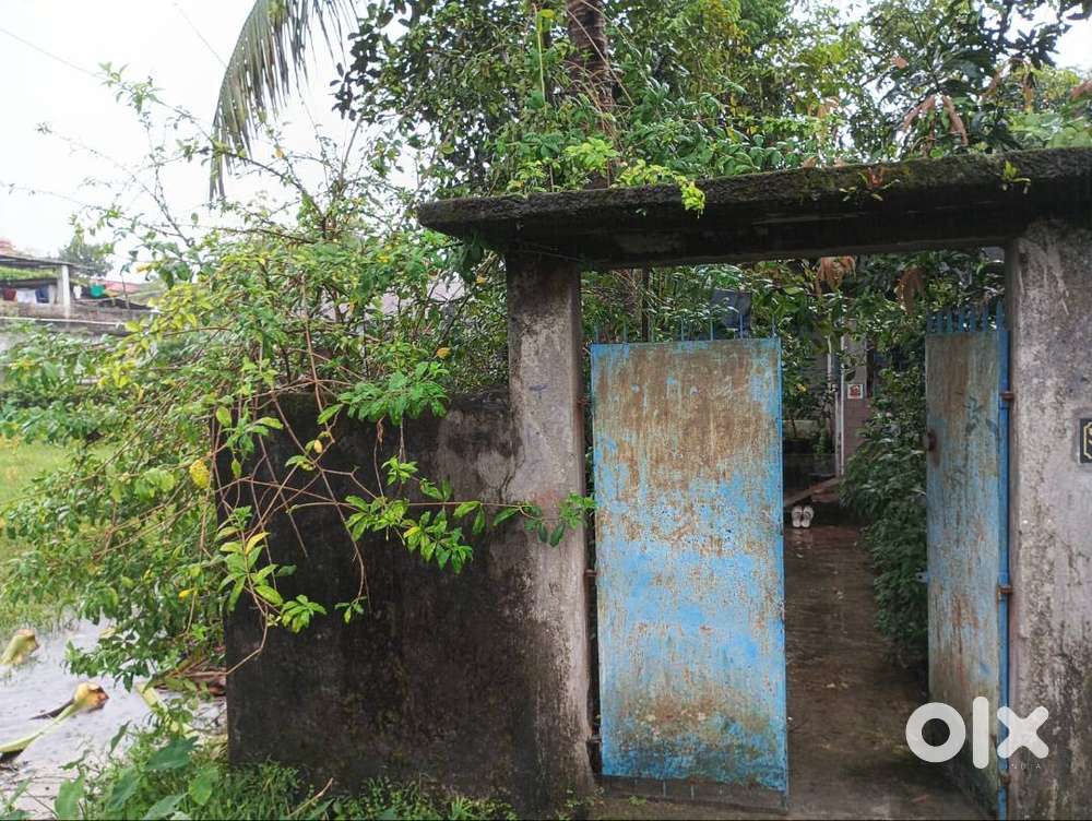 Selling 2.5 Cottah land with tin shed RCC house in Ashigar