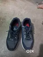 Campus shoes