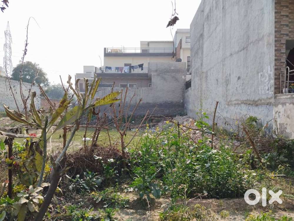 Tdi City Plot 245 Yard Corner Sector 117 Mohali
