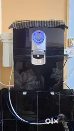 Water purifier