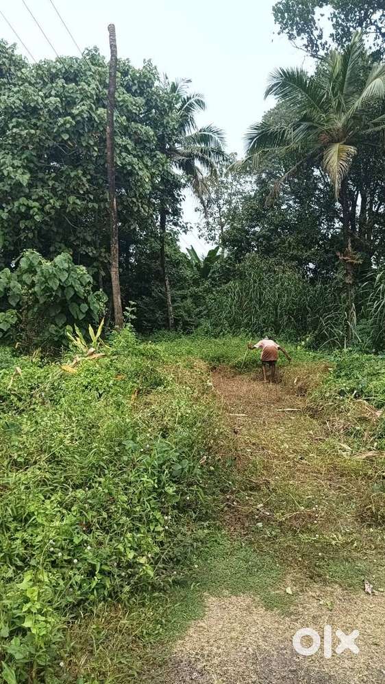 Residential plot for sale  & Takeover of supermarket