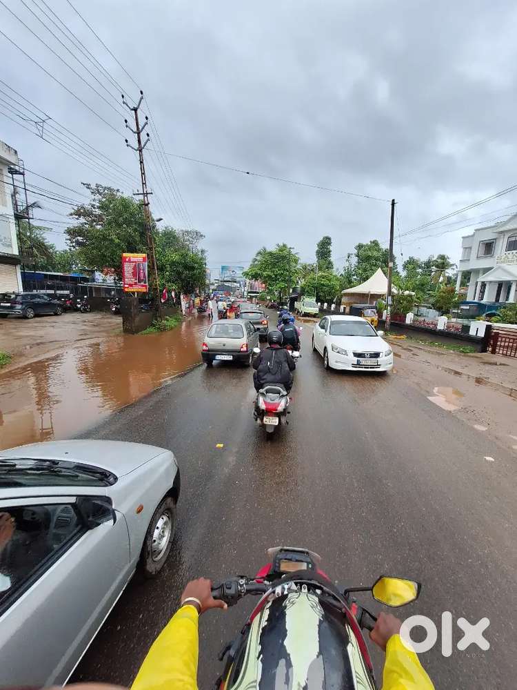 Sales Executive for Light's