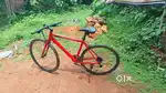 Gear cycle for sale