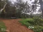 44 cent Plot for sale in KOTTARAKKARA