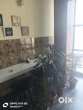 Helper in the kitchen for my cafe
