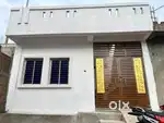 House for sell