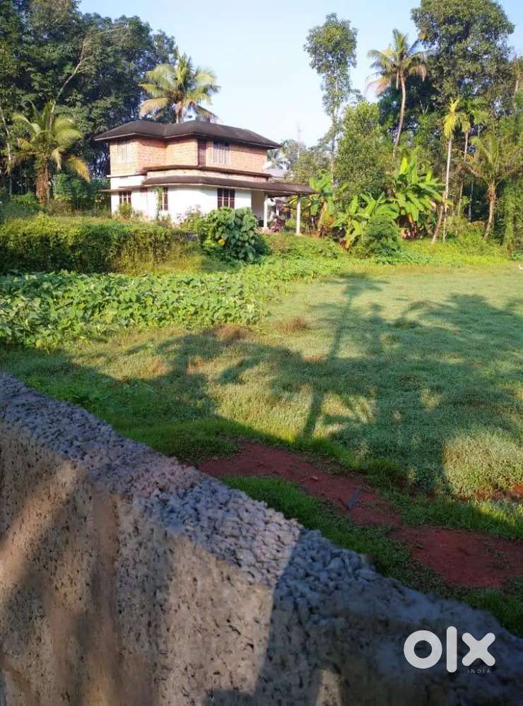 House and plot for sale