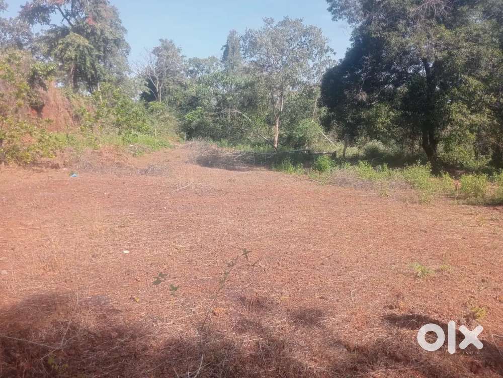 Plot for sale in Nirankal Ponda South Goa