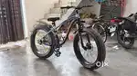New cycle (Fat bike)