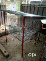 Poultry cage with high tech facilities