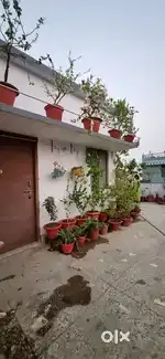 1RK Fully furnished flat  for rent in Hanuman Nagar kankarbagh patna
